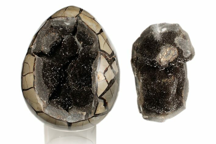 7.4" Septarian "Dragon Egg" Geode - Removable Section